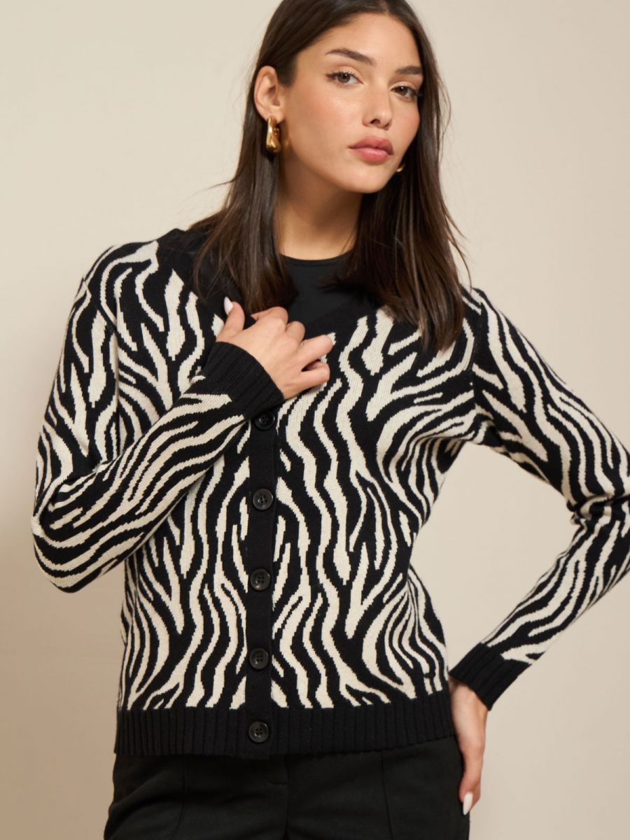 קרדיגן זברה