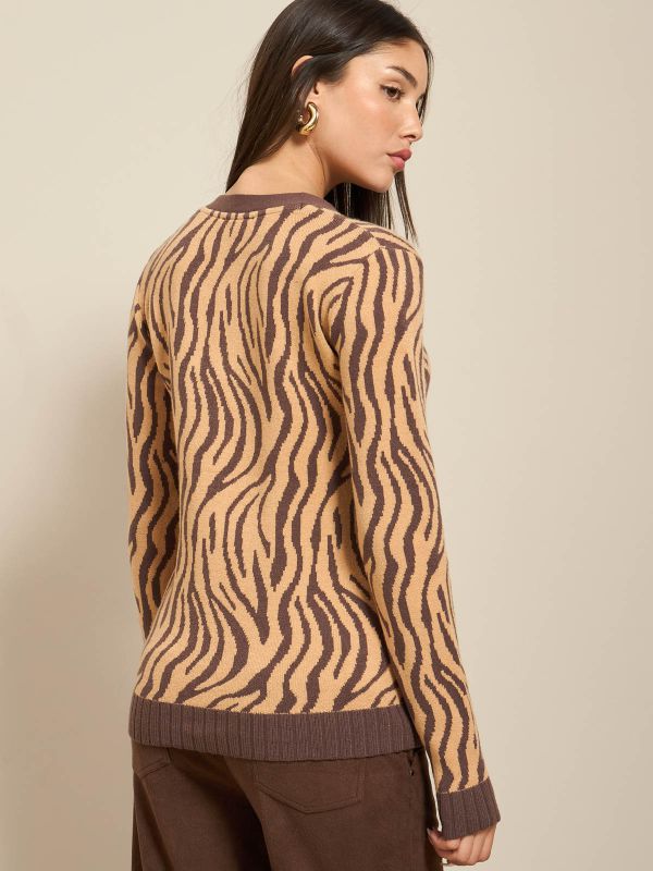 קרדיגן זברה