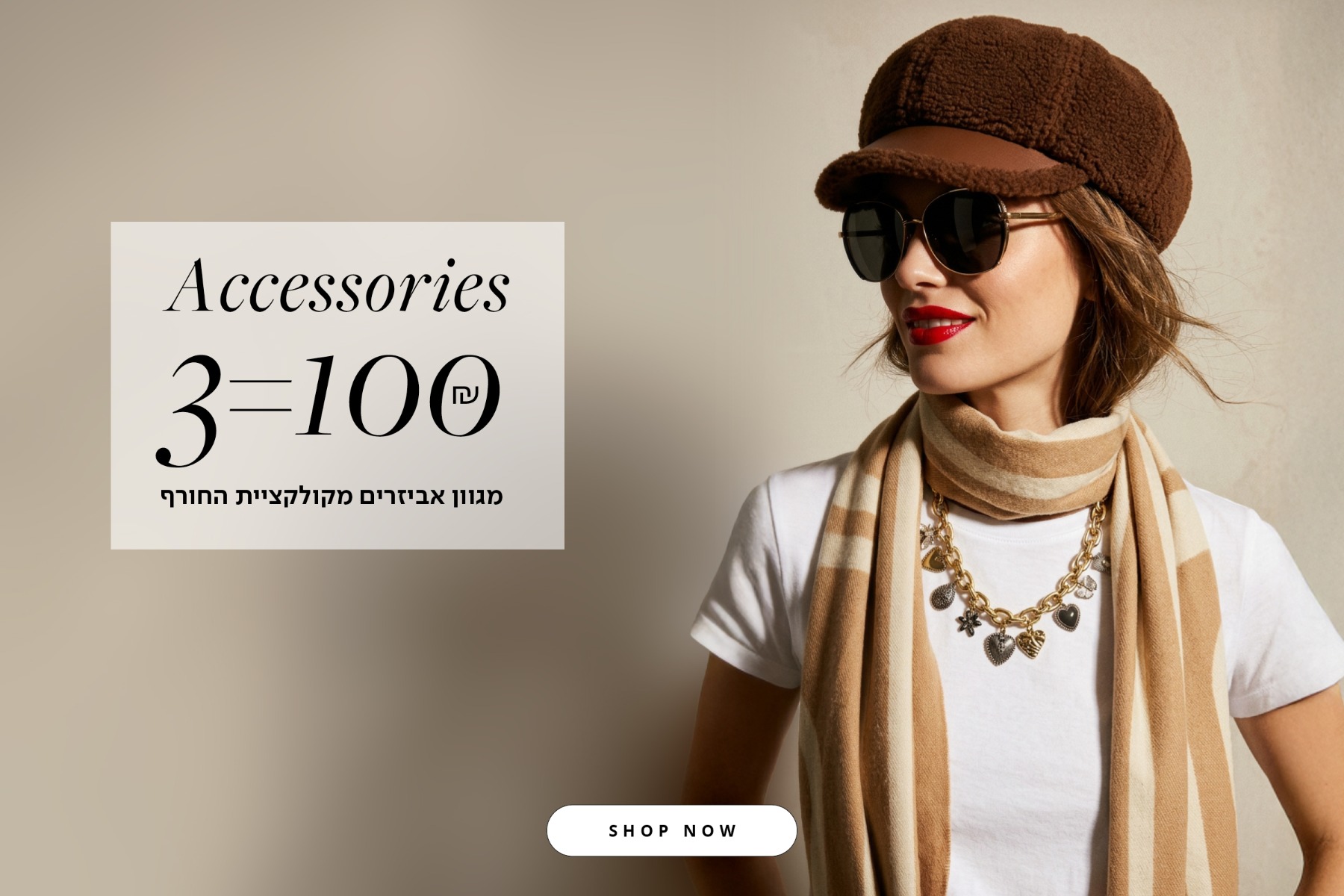 אביזרים 3 ב100