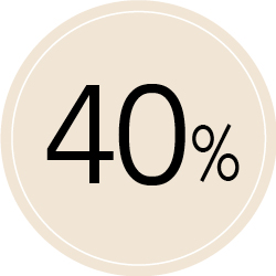40% - מעבר לעמוד הקטדוריה