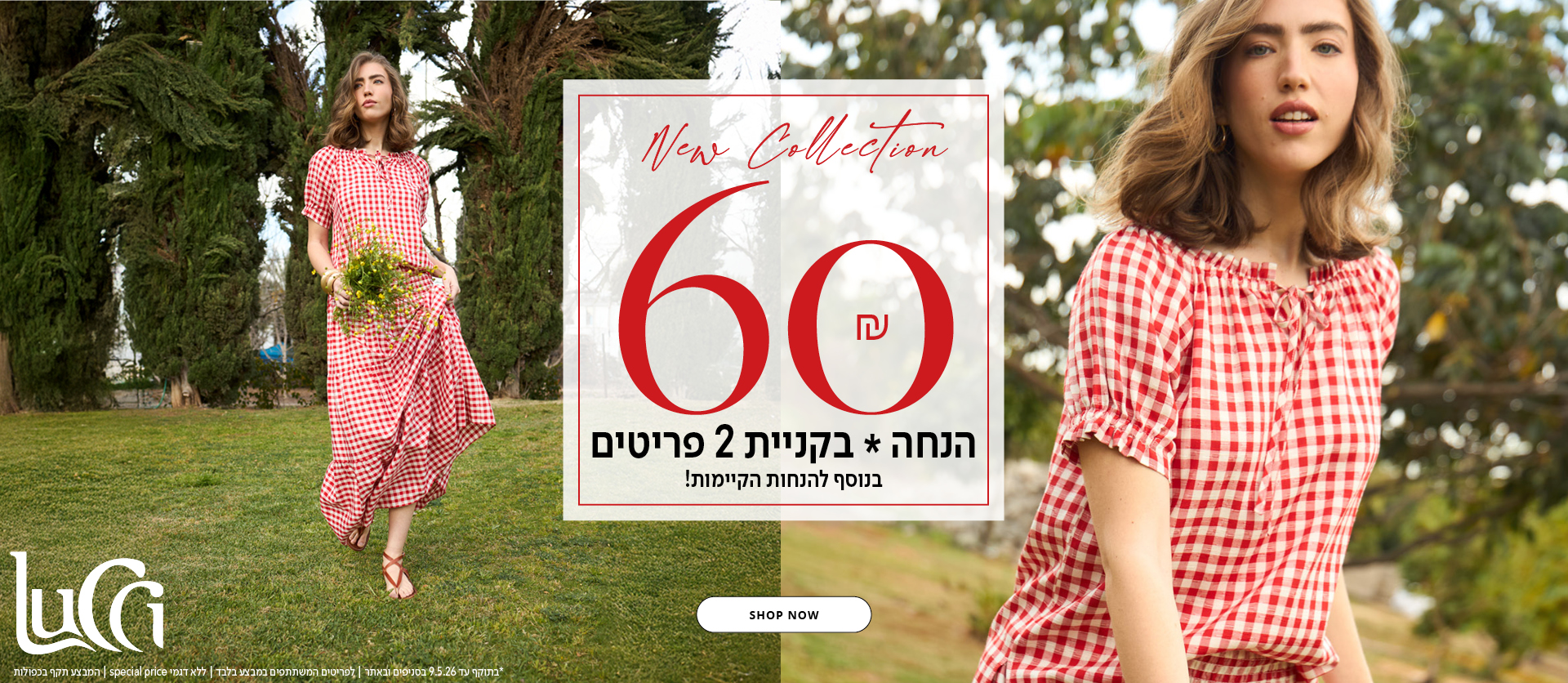 לוצ'י קולקציה חדשה